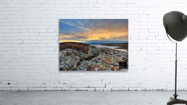 Collection Cote-Nord Wall Preview