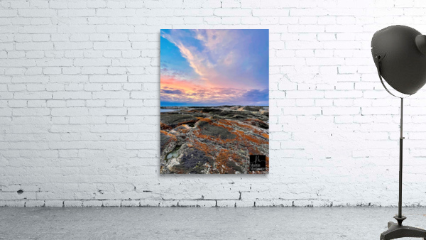 Collection Cote-Nord Wall Preview