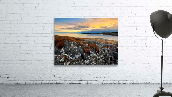Collection Cote-Nord Wall Preview