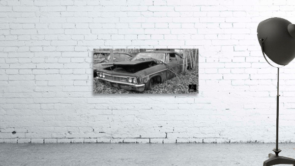 Collection Garage Wall Preview