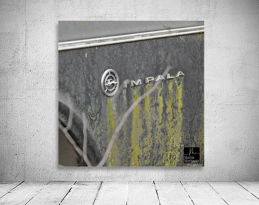 Collection Garage Wall Preview