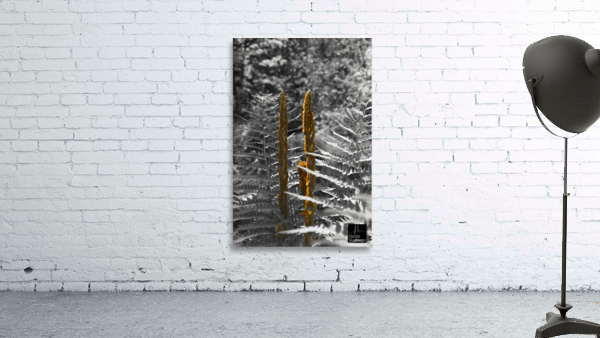 Nature Wall Preview