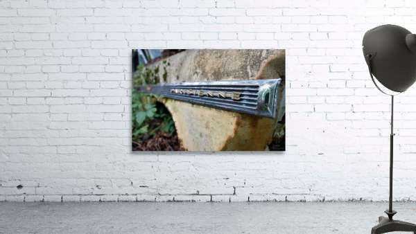 Collection Garage Wall Preview