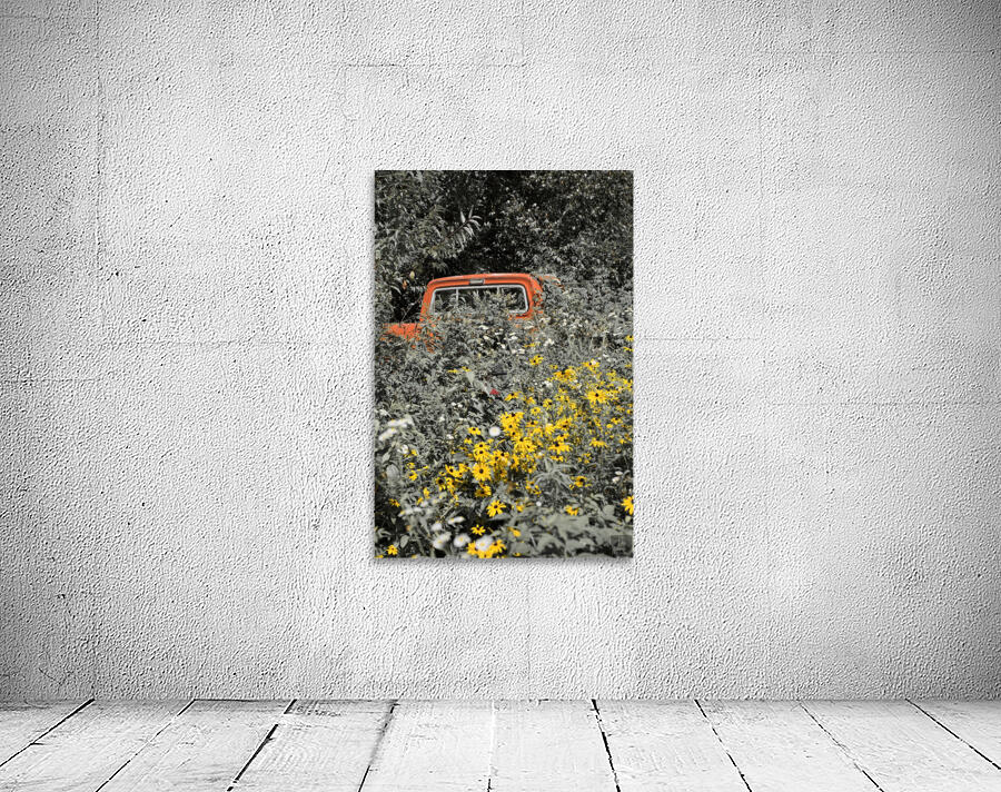 Collection Garage Wall Preview
