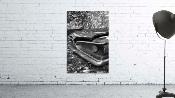 Collection Garage Wall Preview