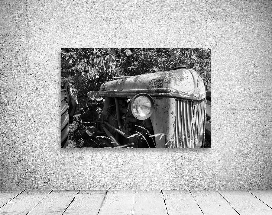 Collection Garage Wall Preview