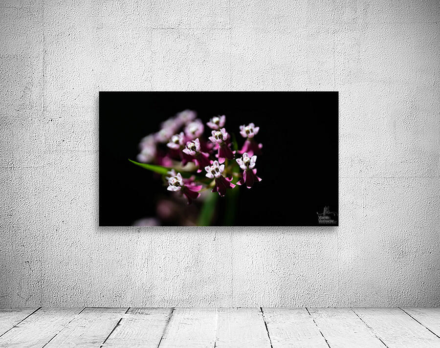 Perce la noirceur  Wall Preview
