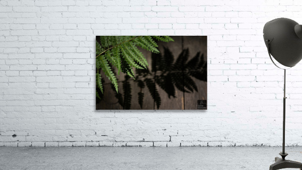 Nature paisible Wall Preview