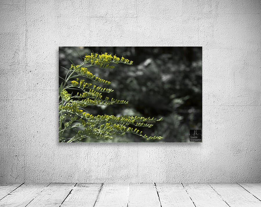 Nature paisible Wall Preview