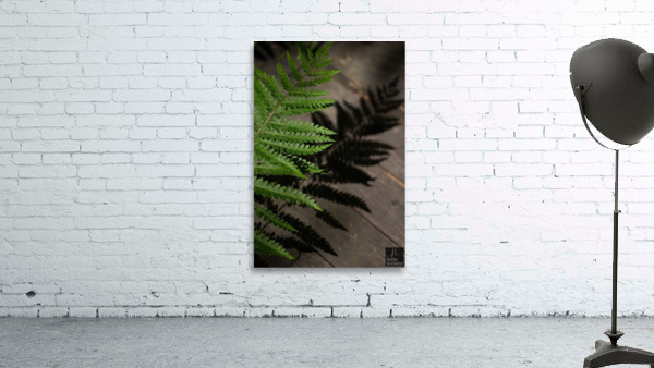 Nature paisible Wall Preview