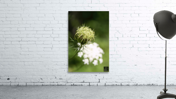 Nature paisible Wall Preview