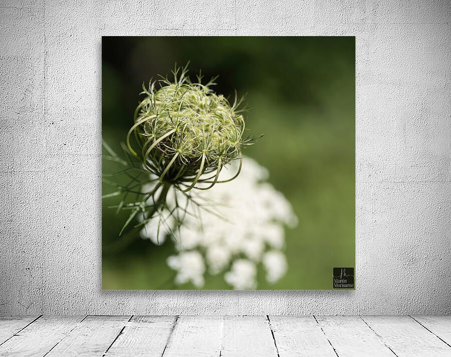 Nature paisible Wall Preview