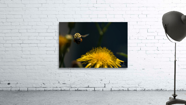 Beauté naturel Wall Preview