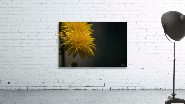 Beauté naturel Wall Preview