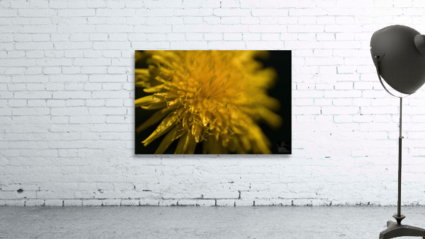 Beauté naturel Wall Preview