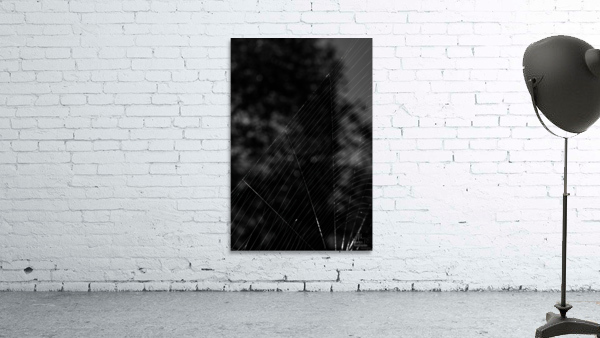 Nature morte Wall Preview