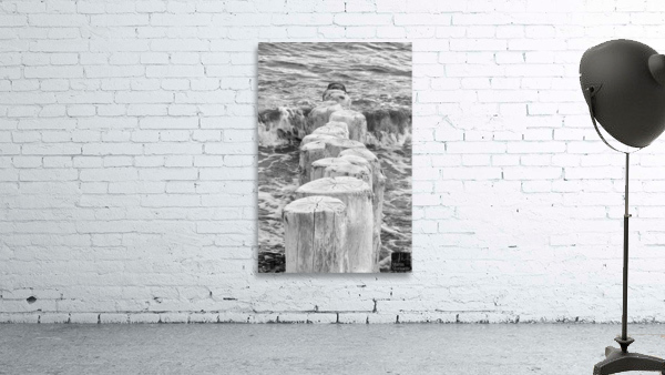 Direction Wall Preview