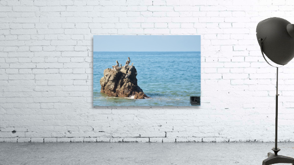 A7403814 Wall Preview