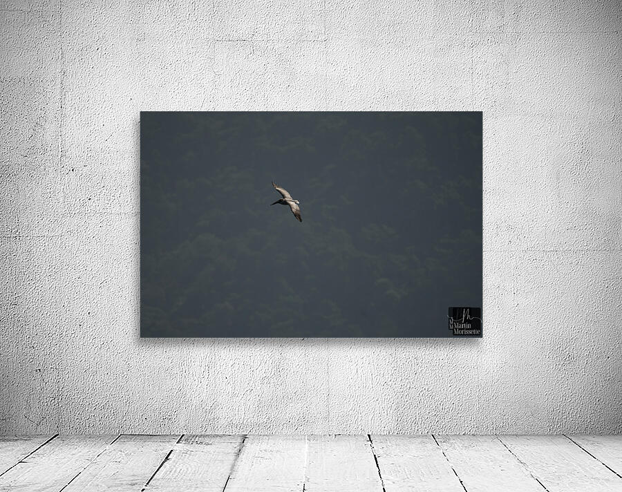 A7403926 Wall Preview