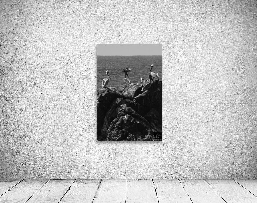 A7404027 Wall Preview