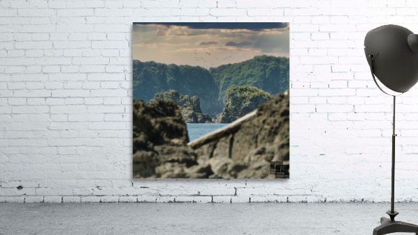 A7404223 Wall Preview