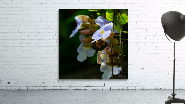 Flora Wall Preview