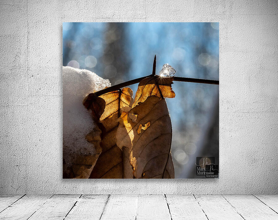 Diamant de glace Wall Preview