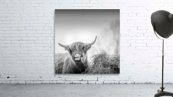 Highland Wall Preview