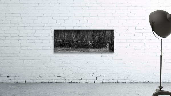Nostalgie 82 Wall Preview