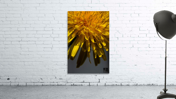 Florail Wall Preview