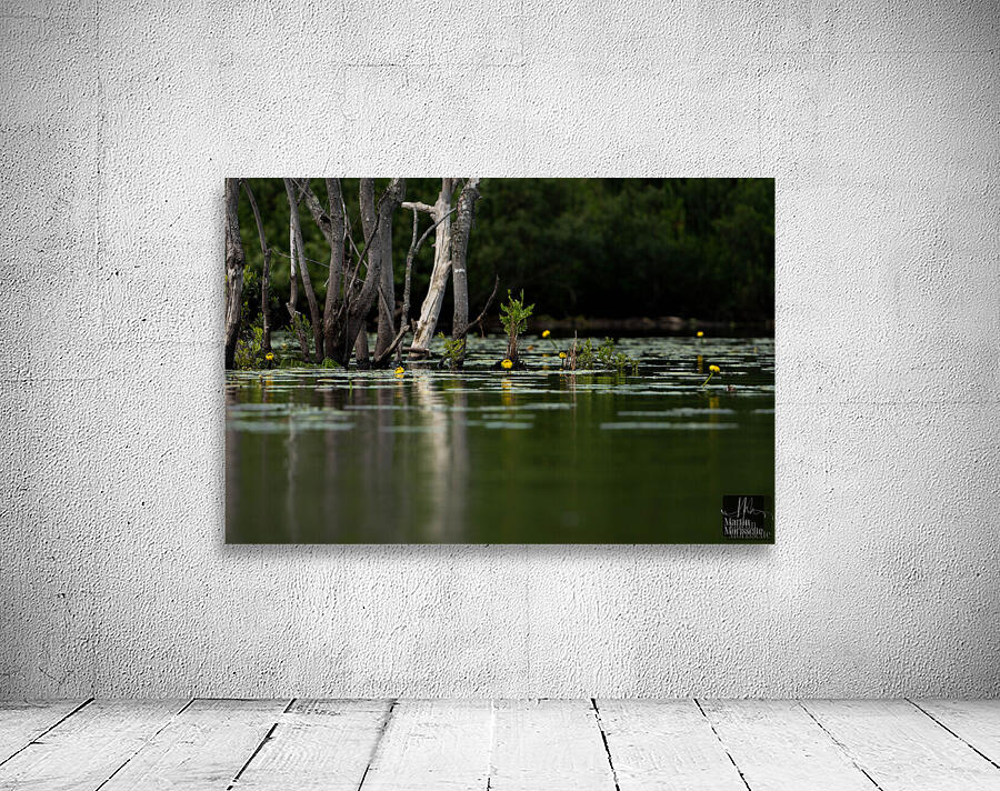 Zen Wall Preview