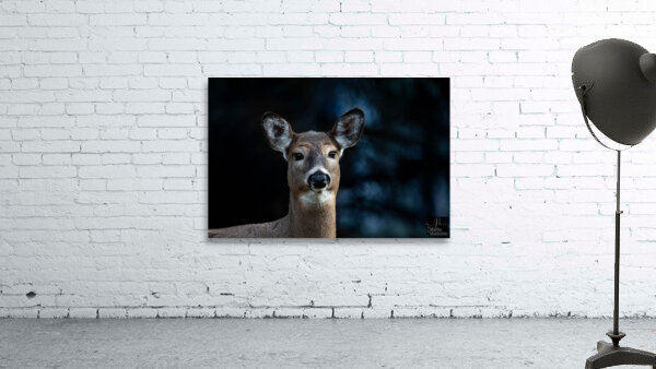 Tu me cherche   Wall Preview
