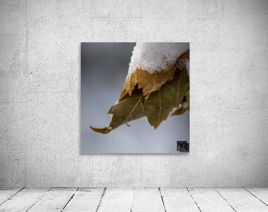 Neige  4 Wall Preview