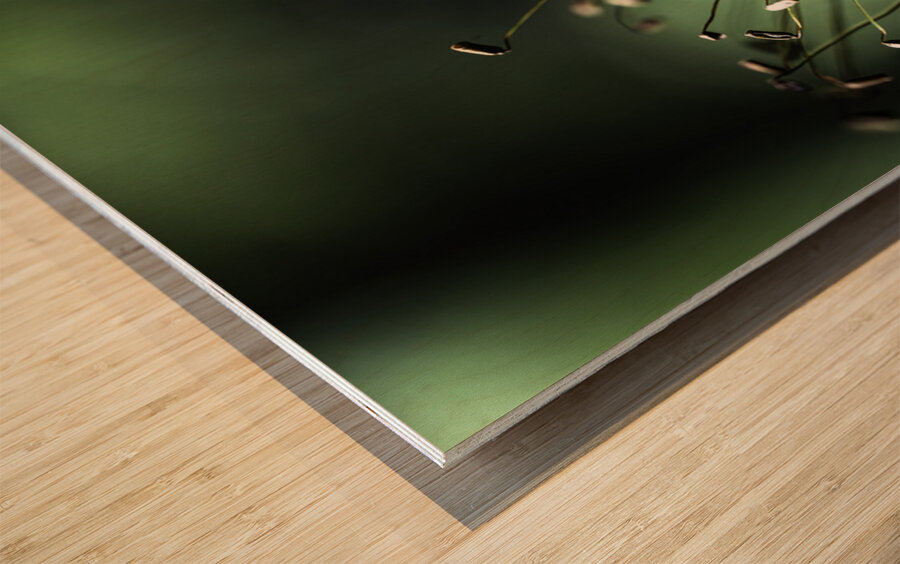 Champs de fees  Wood print