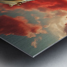 0 Pictures that express the Pharaoh of Egypt in t Metal print