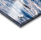 Whale Acrylic print