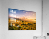 Golden Hour Acrylic Print