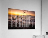 Hawaii Sunset Acrylic Print