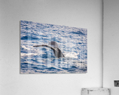 Whale Acrylic Print