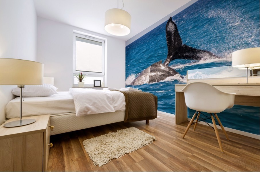 Whales Mural print