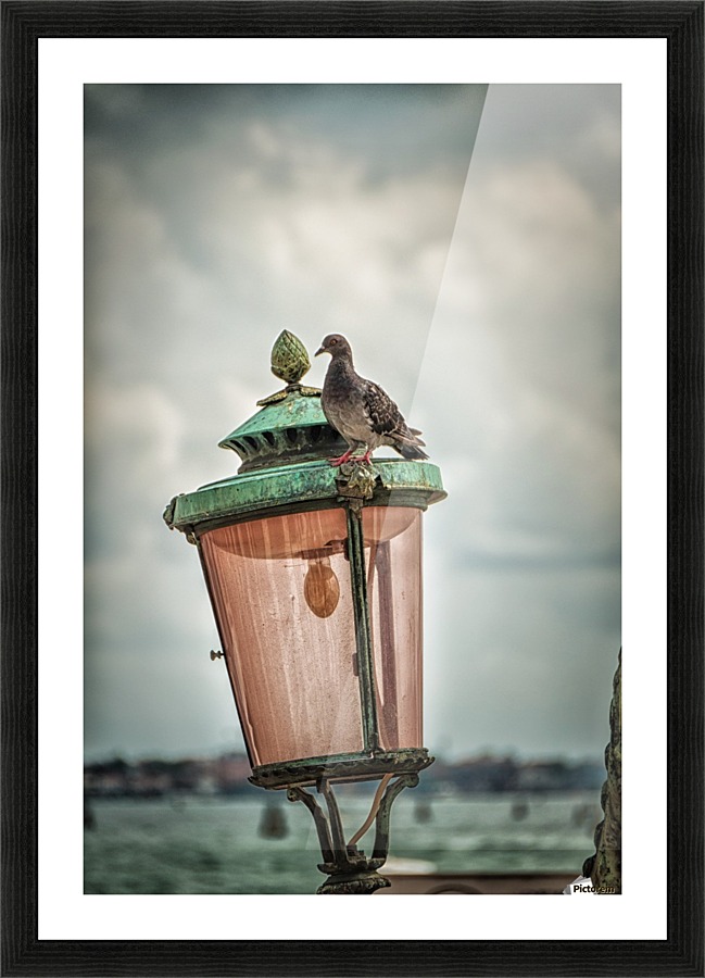 Venice Picture Frame print