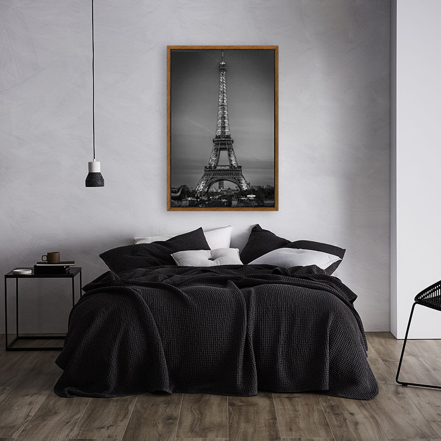 Paris Reproduction