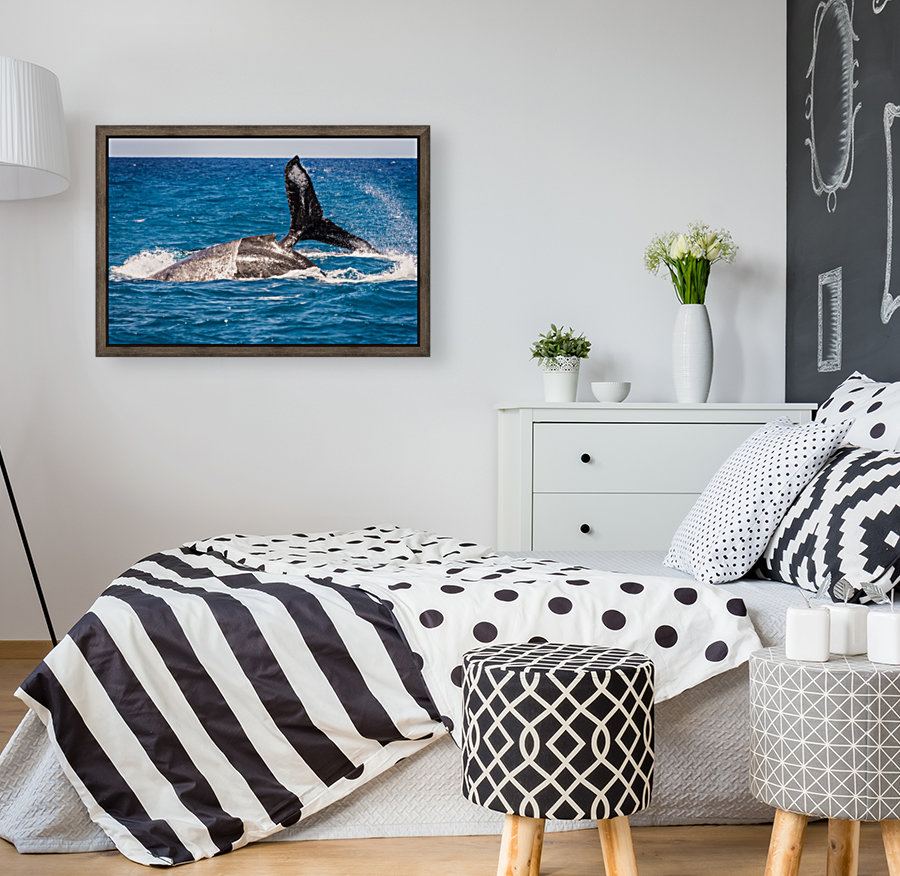 Whales Reproduction