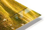 Toano 2 HD Metal print