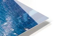 Whales HD Metal print