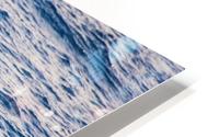 Whale HD Metal print