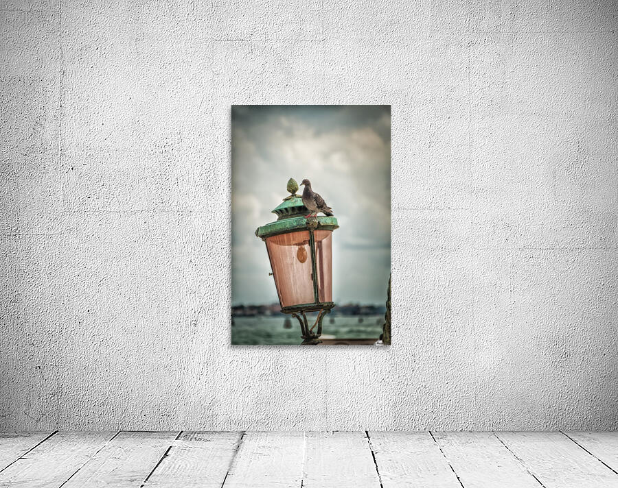 Venice Wall Preview