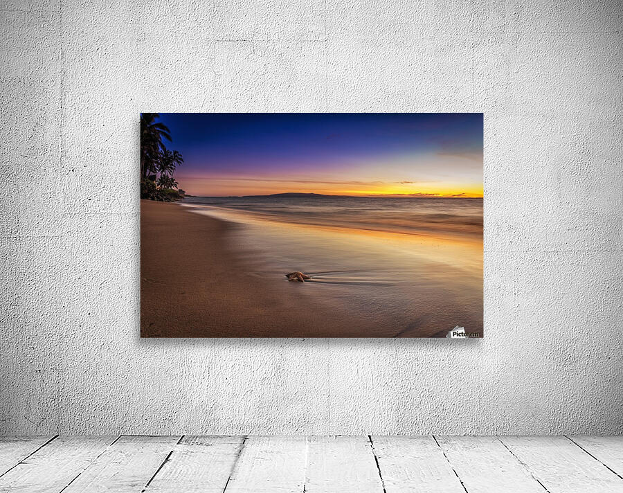 Tropical Sunset Wall Preview