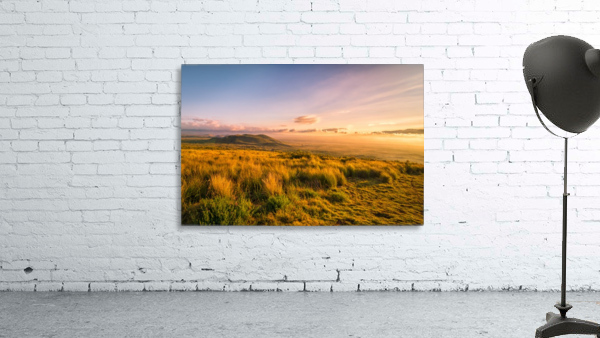 Golden Hour Wall Preview