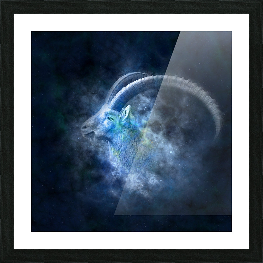 Wild Sheep Portrait Picture Frame print